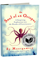 book-soul-of-an-octopus